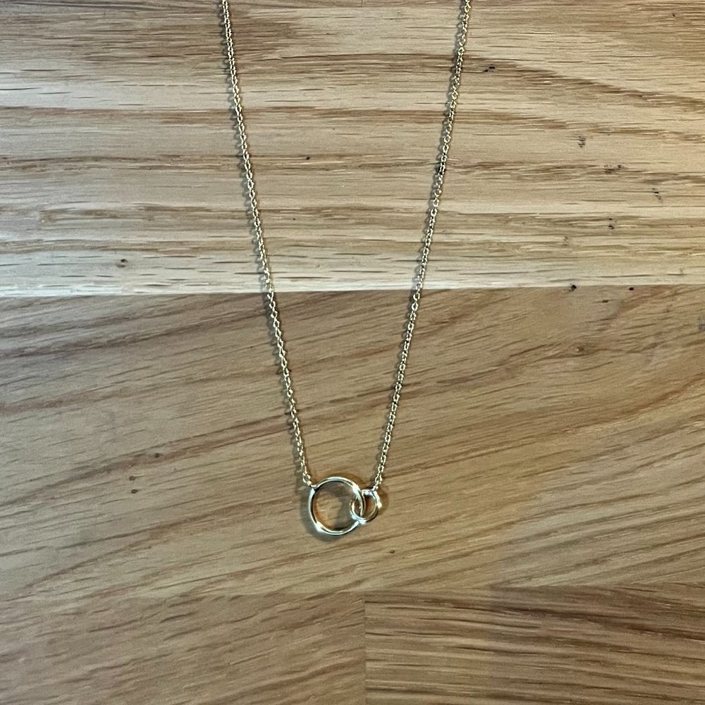 Gorjana Interlocking Necklace